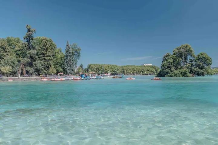 Appartement & Le Cocon Centre - Proche Gare Et Annecy